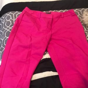 Express Hot Pink Editor Pants-Crop